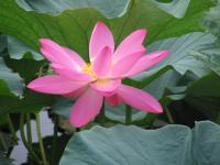 Albums/20060800-China Aug 2006/20060804-Shenyang University/42